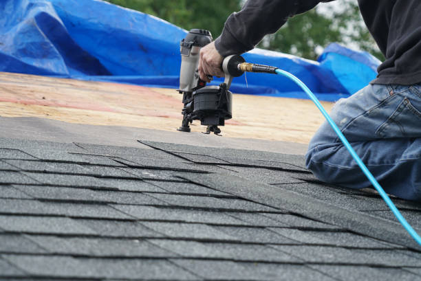 Roof Installation Near Me in Fruita, CO